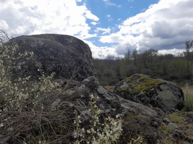 Terreno Agricola ou Rústico para Venda em Peraboa Foto 35