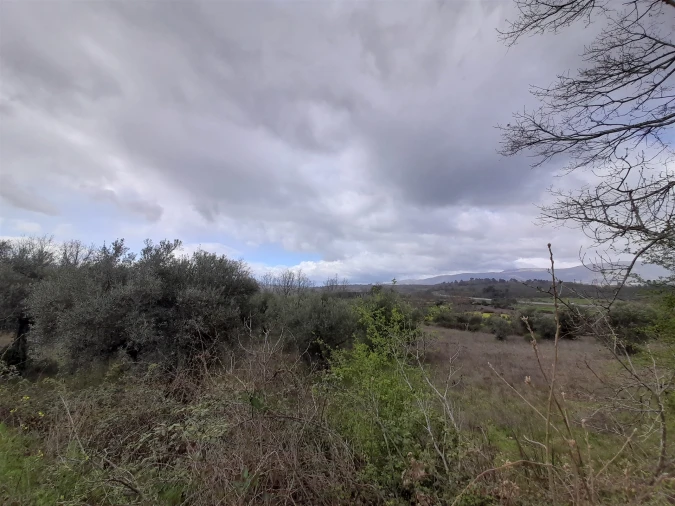 Terreno Agricola ou Rústico para Venda em Peraboa Foto 23