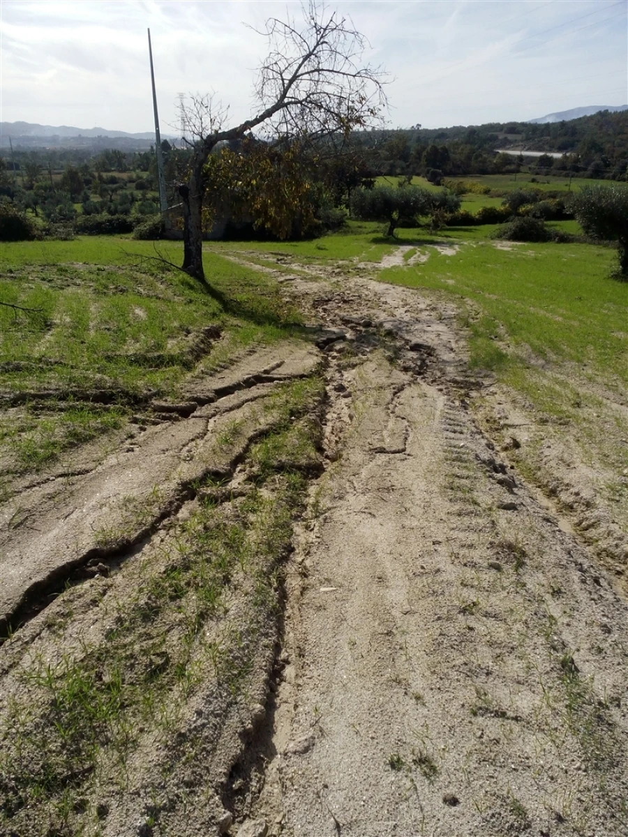 Terreno Agricola ou Rústico para Venda em Peraboa Foto 2