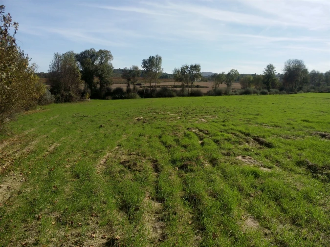 Terreno Agricola ou Rústico para Venda em Peraboa Foto 14