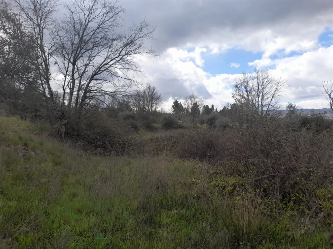 Terreno Agricola ou Rústico para Venda em Peraboa Foto 20