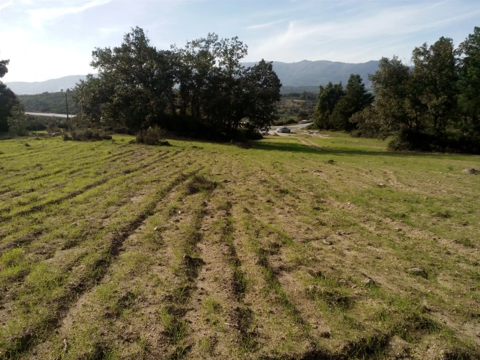 Terreno Agricola ou Rústico para Venda em Peraboa Foto 16