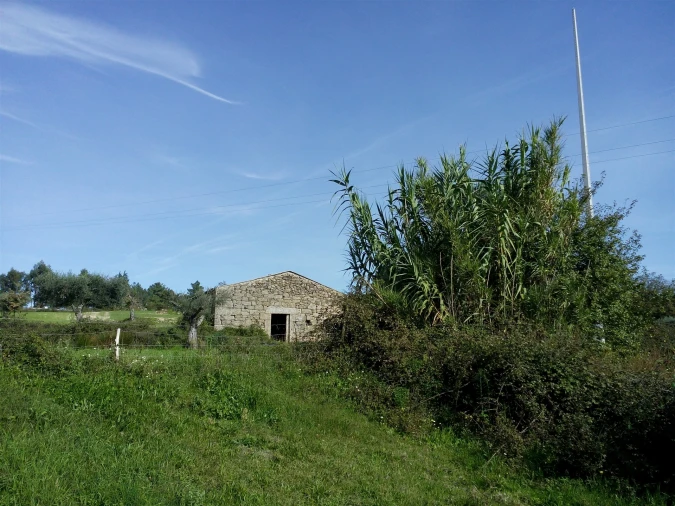 Terreno Agricola ou Rústico para Venda em Peraboa Foto 8