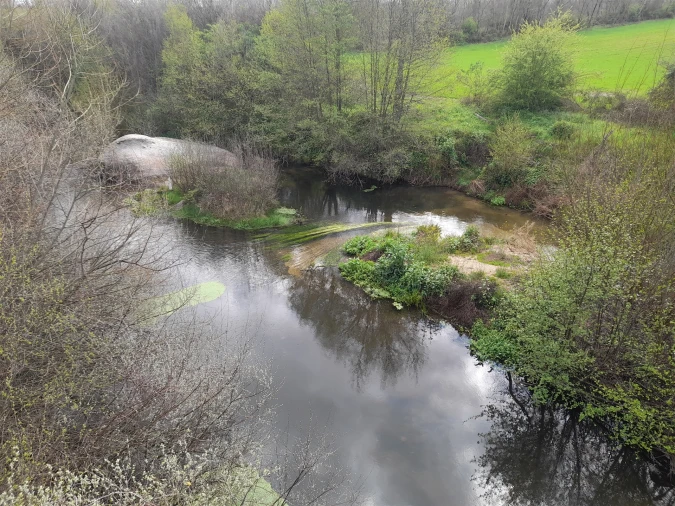 Terreno Agricola ou Rústico para Venda em Peraboa Foto 28