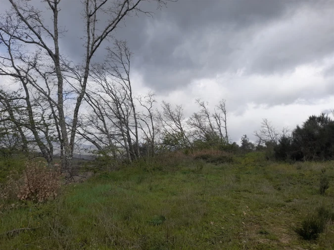 Terreno Agricola ou Rústico para Venda em Peraboa Foto 22