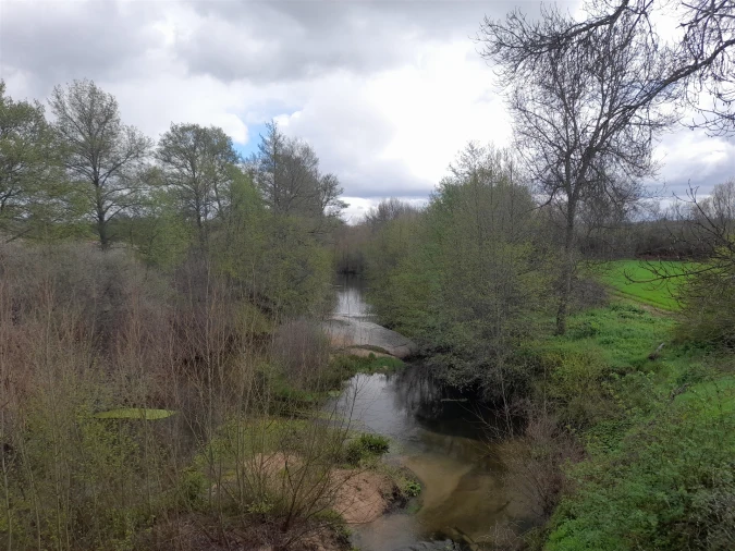 Terreno Agricola ou Rústico para Venda em Peraboa Foto 26