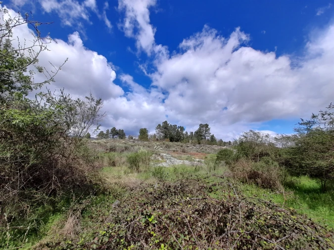 Terreno Agricola ou Rústico para Venda em Peraboa Foto 34