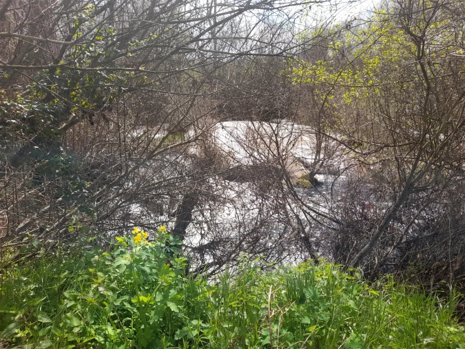 Terreno Agricola ou Rústico para Venda em Peraboa Foto 32