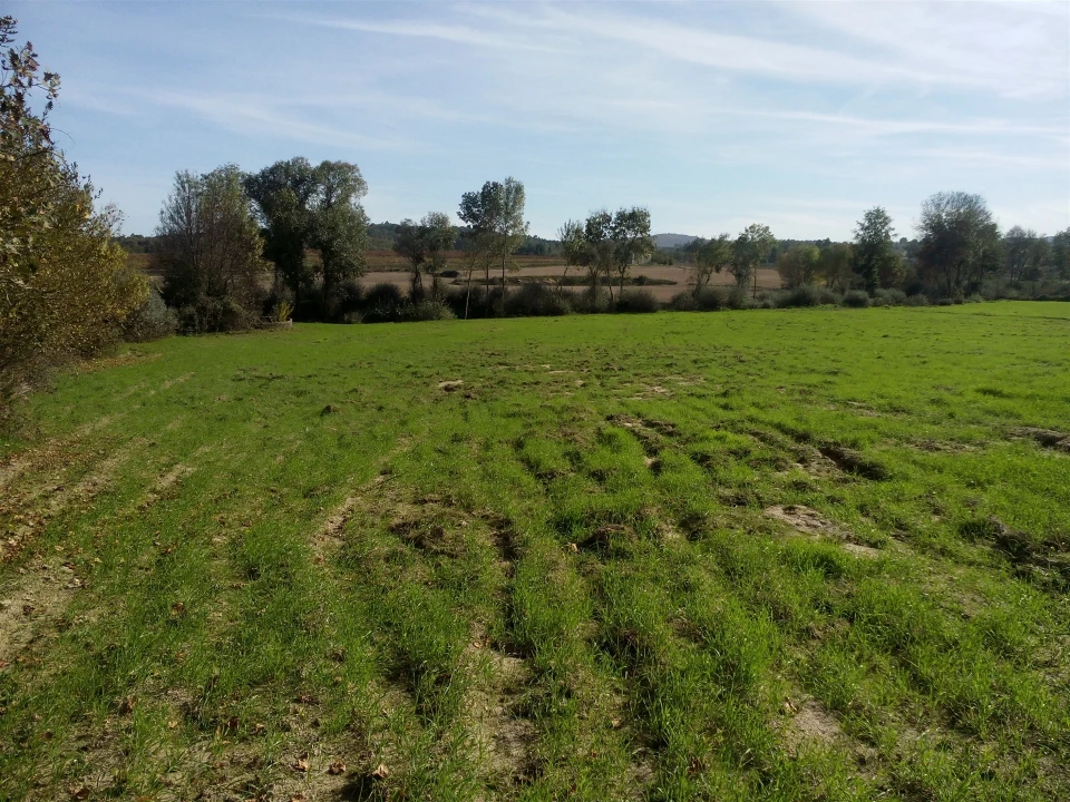 Terreno Agricola ou Rústico para Venda em Peraboa Foto 14