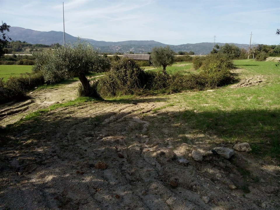 Terreno Agricola ou Rústico para Venda em Peraboa Foto 10