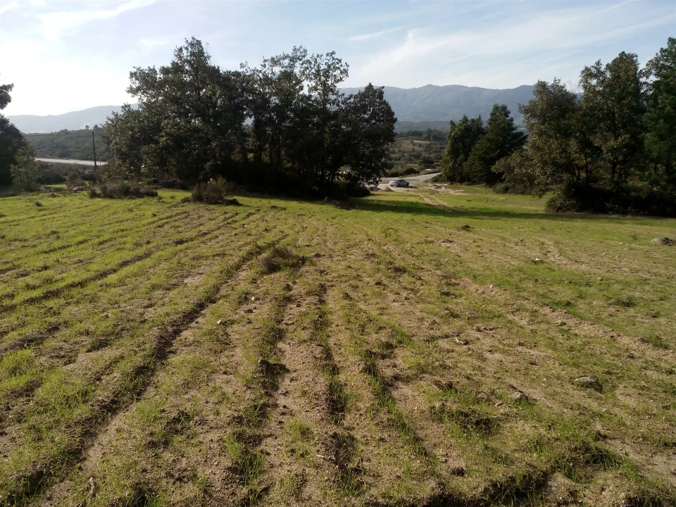 Terreno Agricola ou Rústico para Venda em Peraboa Foto 16