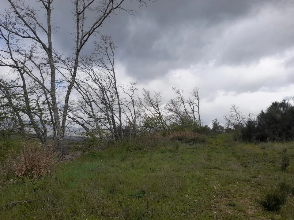 Terreno Agricola ou Rústico para Venda em Peraboa Foto 22