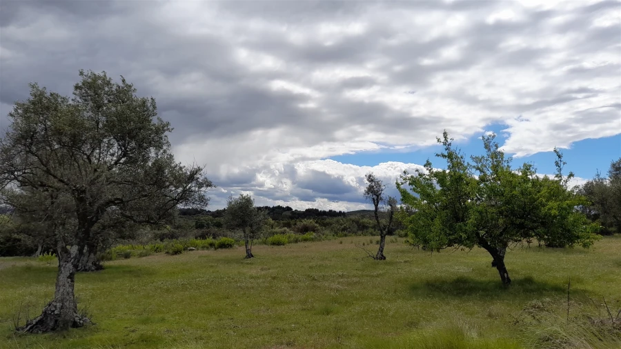 Terreno Agricola ou Rústico para Venda em Vale de Prazeres e Mata da Rainha Foto 7