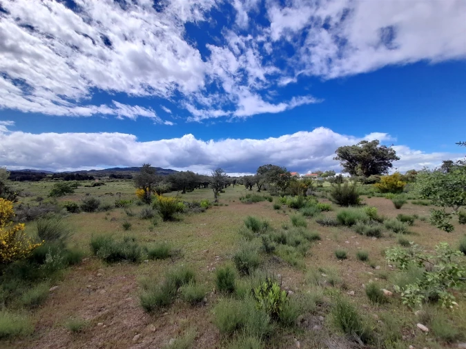 Terreno Agricola ou Rústico para Venda em Vale de Prazeres e Mata da Rainha Foto 1