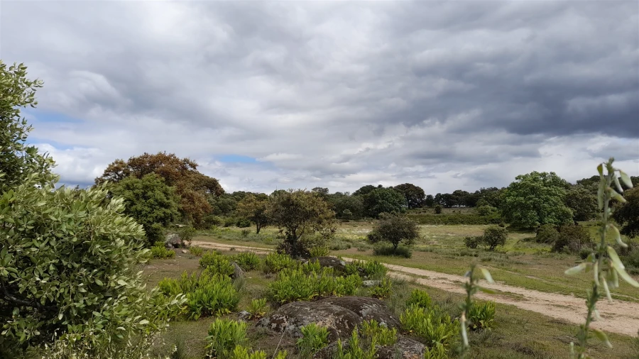 Terreno Agricola ou Rústico para Venda em Vale de Prazeres e Mata da Rainha Foto 11