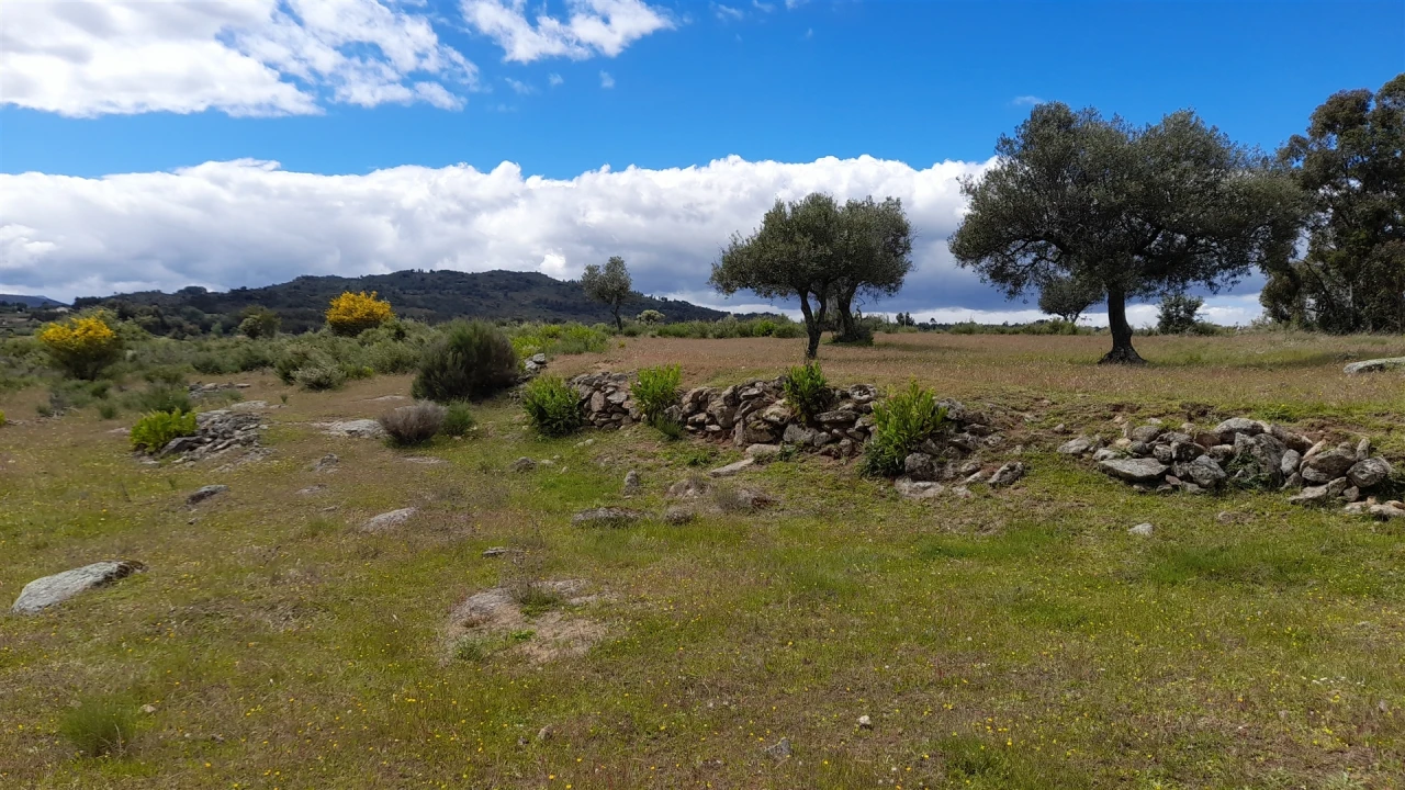 Terreno Agricola ou Rústico para Venda em Vale de Prazeres e Mata da Rainha Foto 6