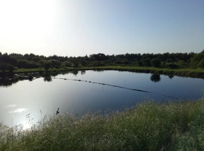Quinta T0 para Venda em Louriçal do Campo Foto 2