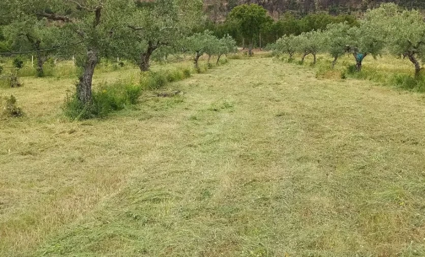 Quinta T0 para Venda em Louriçal do Campo Foto 5