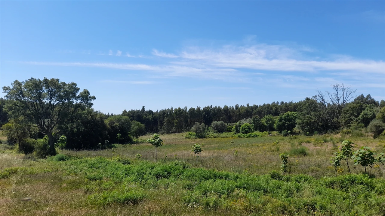 Quinta T0 para Venda em Louriçal do Campo Foto 11