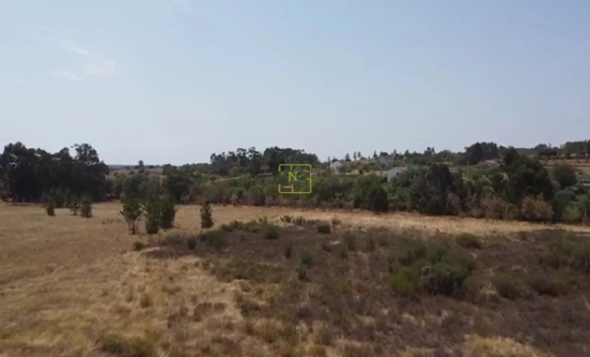 Terreno Agricola ou Rústico para Venda em Penamacor Foto 3