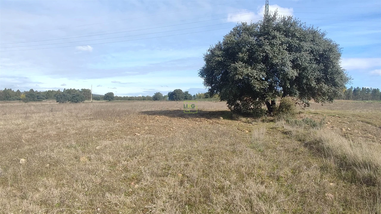 Terreno Agricola ou Rústico para Venda em Penamacor Foto 8