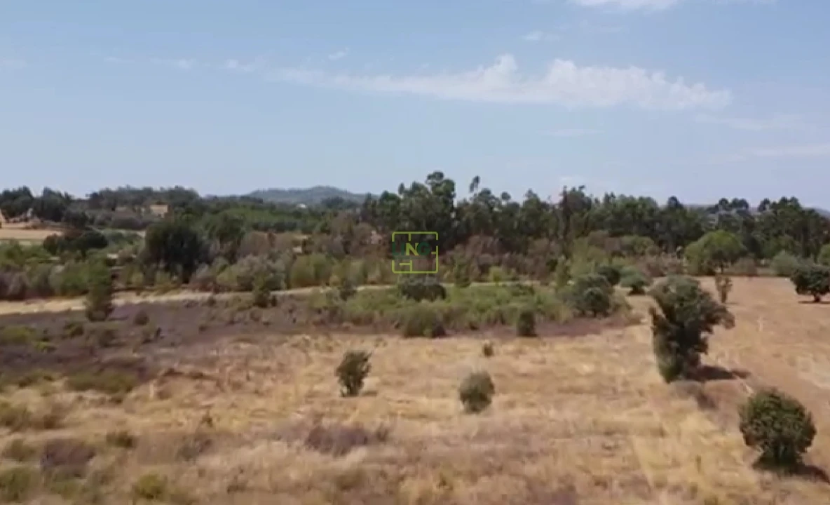 Terreno Agricola ou Rústico para Venda em Penamacor Foto 2