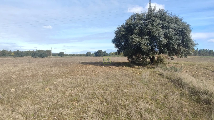 Terreno Agricola ou Rústico para Venda em Penamacor Foto 8