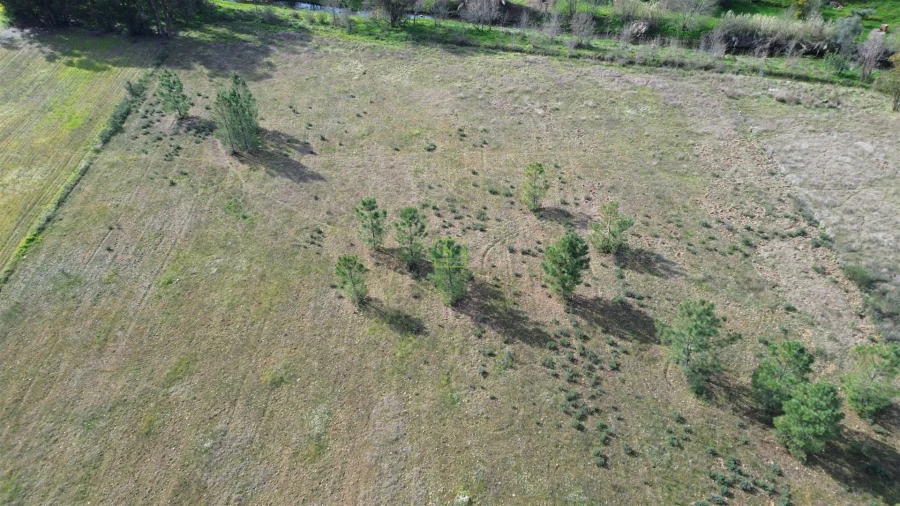 Terreno Agricola ou Rústico para Venda em Penamacor Foto 17