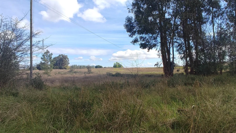 Terreno Agricola ou Rústico para Venda em Penamacor Foto 11