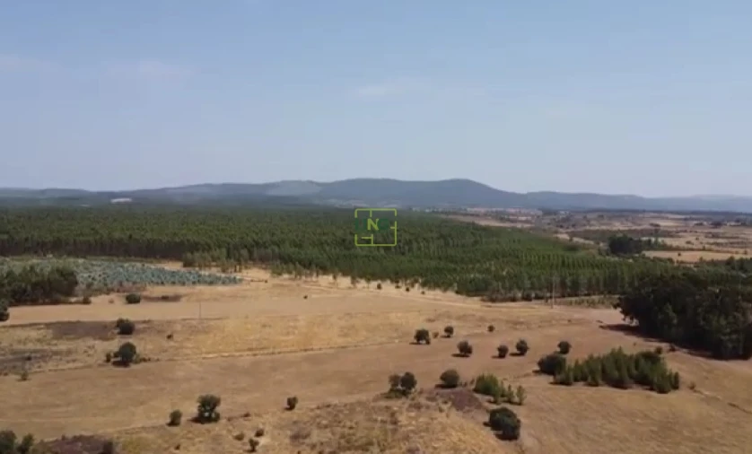 Terreno Agricola ou Rústico para Venda em Penamacor Foto 4