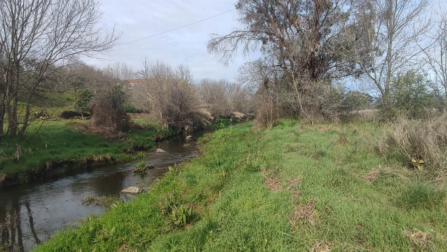 Terreno Agricola ou Rústico para Venda em Penamacor Foto 10