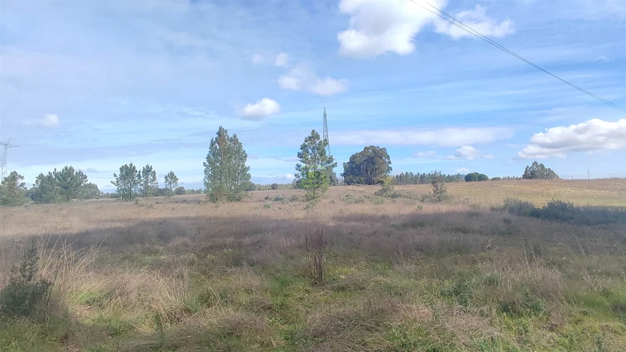 Terreno Agricola ou Rústico para Venda em Penamacor Foto 9