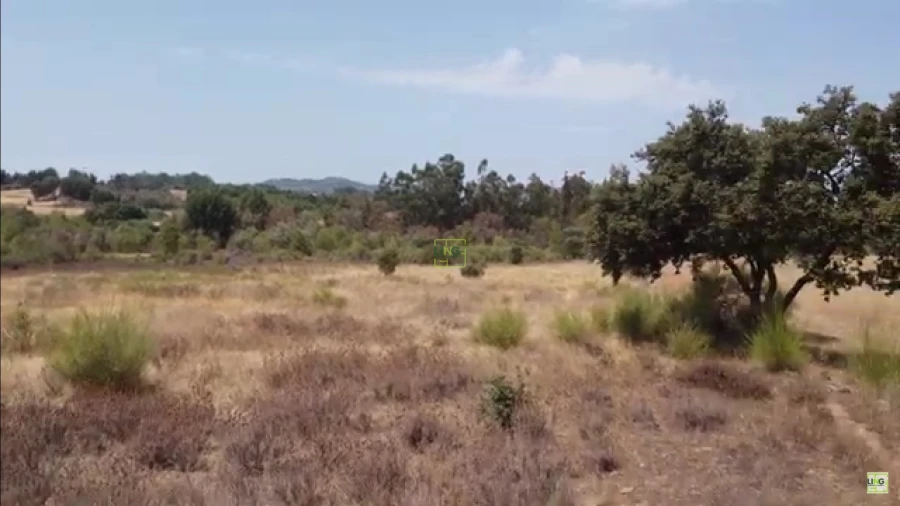 Terreno Agricola ou Rústico para Venda em Penamacor Foto 5