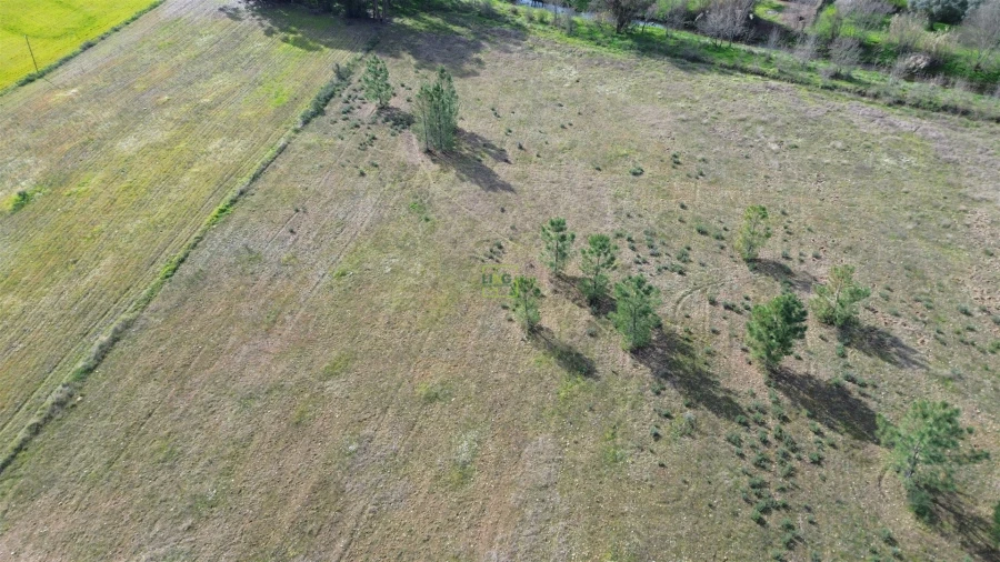 Terreno Agricola ou Rústico para Venda em Penamacor Foto 15