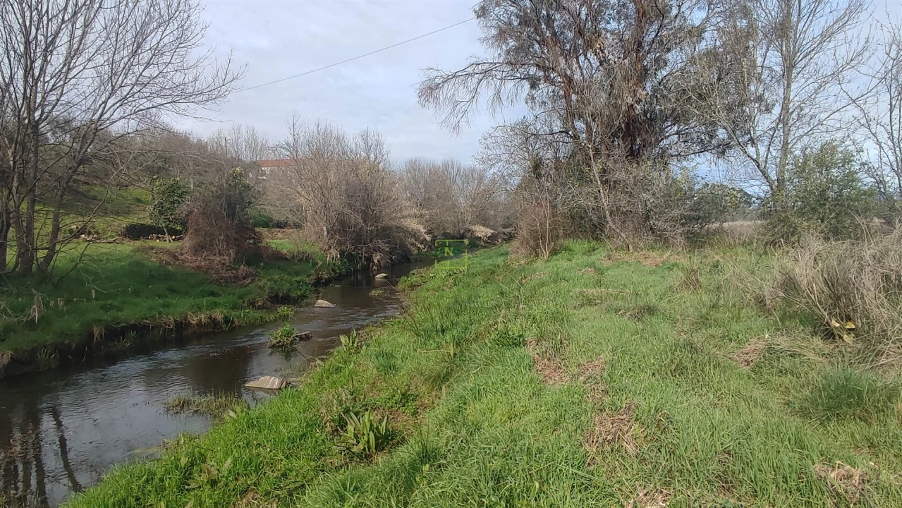 Terreno Agricola ou Rústico para Venda em Penamacor Foto 10