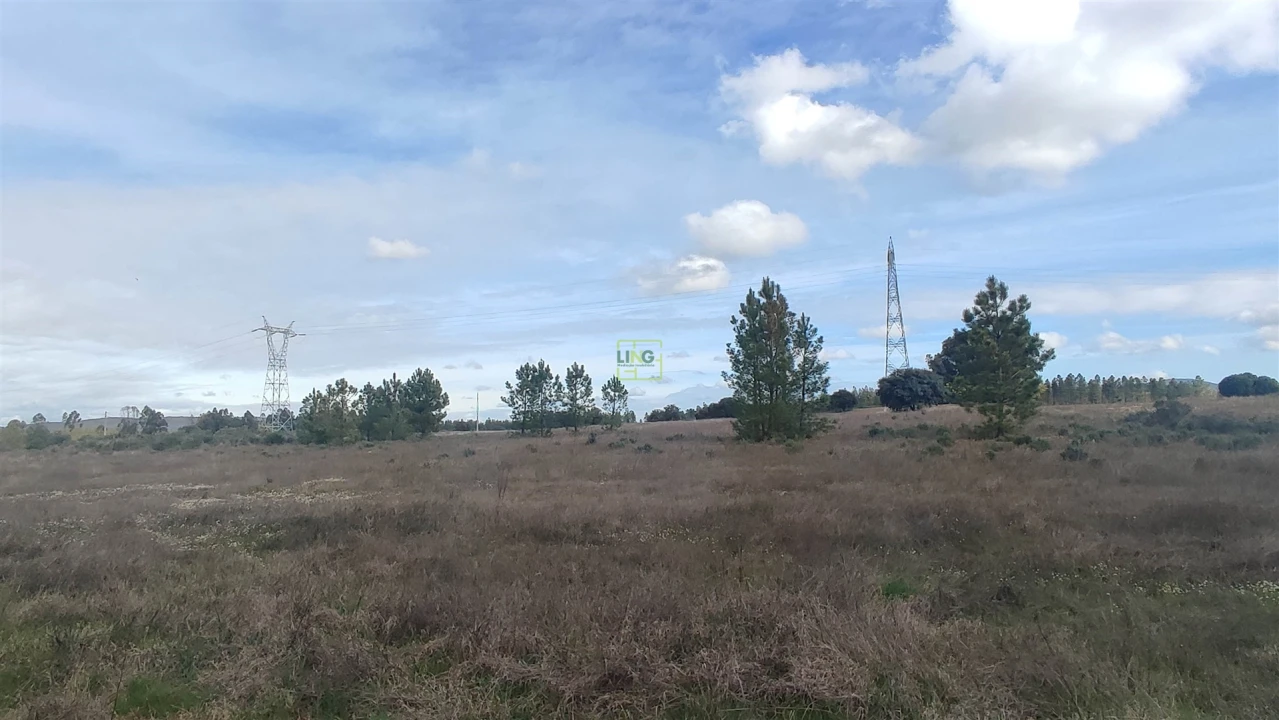 Terreno Agricola ou Rústico para Venda em Penamacor Foto 13