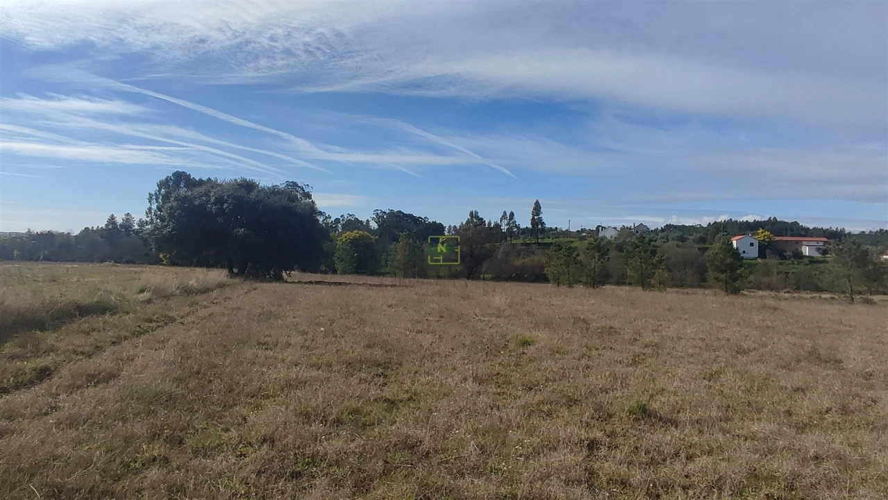 Terreno Agricola ou Rústico para Venda em Penamacor Foto 6