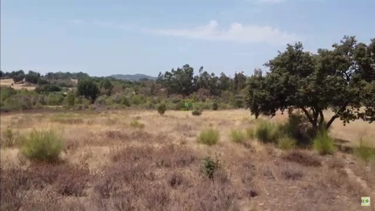 Terreno Agricola ou Rústico para Venda em Penamacor Foto 5