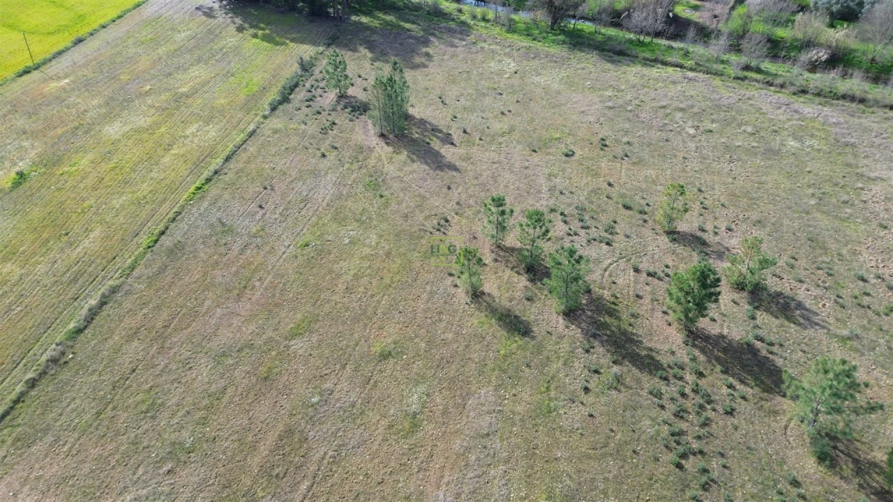Terreno Agricola ou Rústico para Venda em Penamacor Foto 15
