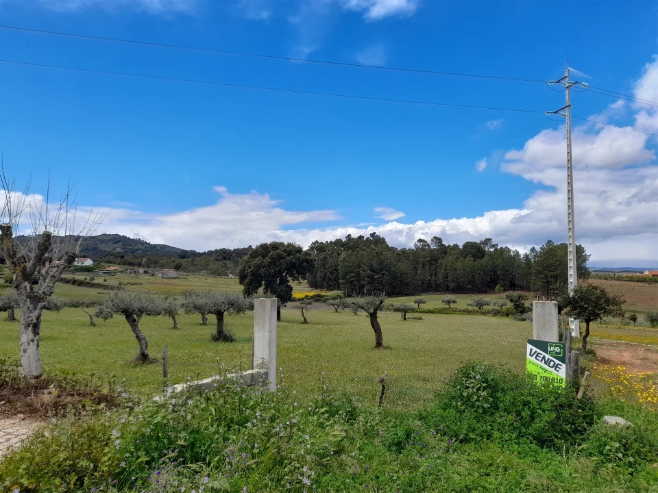 Terreno Agricola ou Rústico para Venda em Vale de Prazeres e Mata da Rainha Foto 13