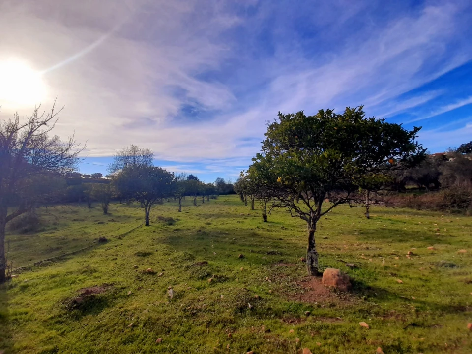 Quinta T0 para Venda em Penha Garcia Foto 5