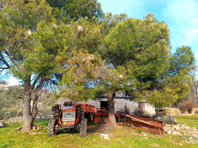 Quinta T0 para Venda em Penha Garcia Foto 11