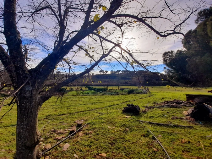 Quinta T0 para Venda em Penha Garcia Foto 12