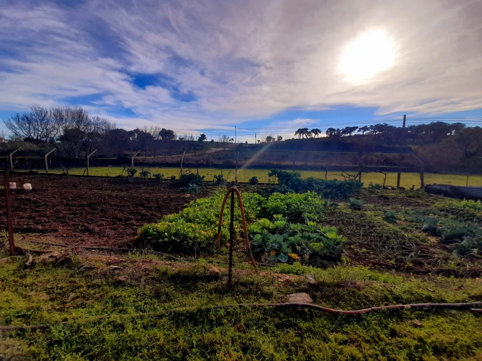Quinta T0 para Venda em Penha Garcia Foto 10