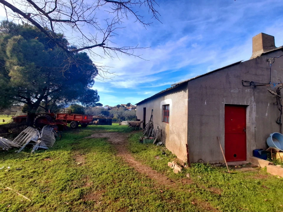 Quinta T0 para Venda em Penha Garcia Foto 14