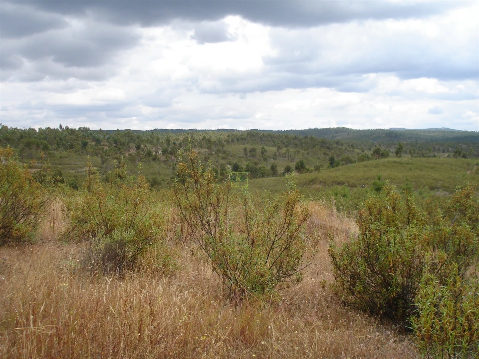 Quinta T0 para Venda em Ninho do Açor e Sobral do Campo Foto 4