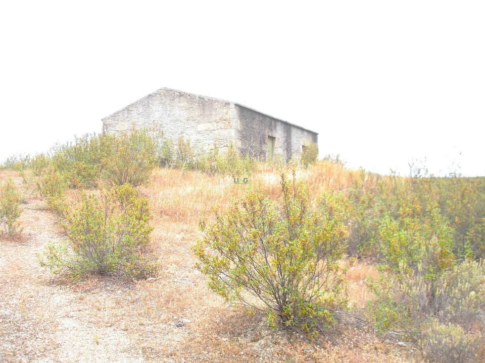 Quinta T0 para Venda em Ninho do Açor e Sobral do Campo Foto 5