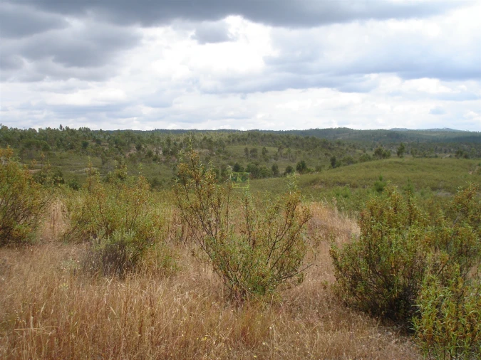 Quinta T0 para Venda em Ninho do Açor e Sobral do Campo Foto 4