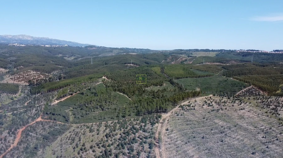Quinta T0 para Venda em Ninho do Açor e Sobral do Campo Foto 10