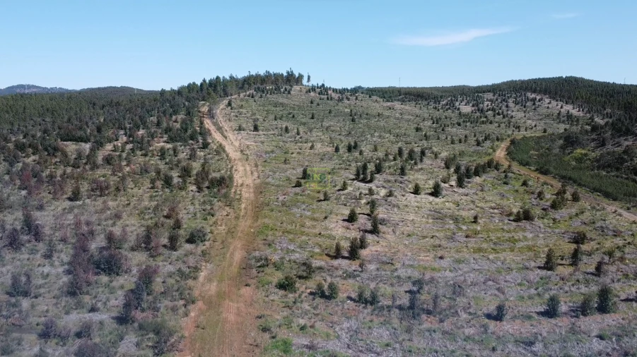 Quinta T0 para Venda em Ninho do Açor e Sobral do Campo Foto 12